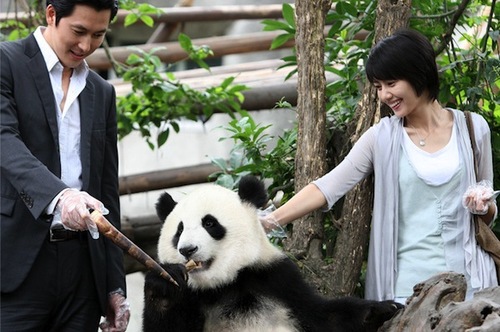 A_Good_Rain_Knows-0003 (2)