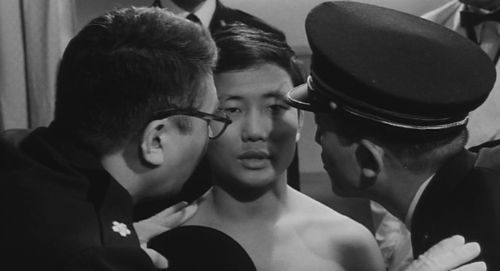 vlcsnap-2018-07-08-20h28m10s279