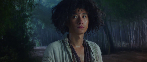 vlcsnap-2019-01-14-22h43m08s686