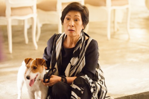 how to steal a dog (2)