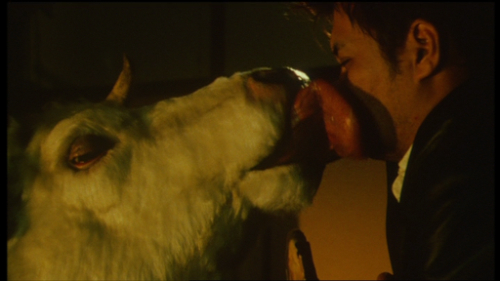 vlcsnap-2019-07-16-18h38m52s20