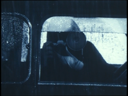 vlcsnap-2019-07-30-14h53m46s231