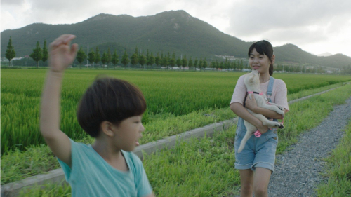 Kokdu-6-500x281-c-default