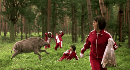 vlcsnap-2019-09-30-21h29m14s597