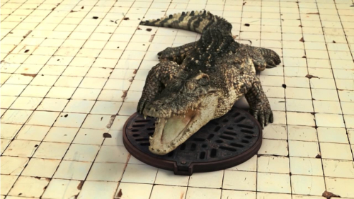 MV5BMzk5M2M1NzgtYTZiZi00NzEzLWJlOWUtYWJhZTNhMjE2MTU2XkEyXkFqcGdeQXVyNzI1NzMxNzM@._V1_