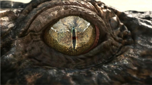 MV5BNDNiNmVkNjctMzdjNy00OGU4LTkyNDAtZDI5NWVjZmJjNWM4XkEyXkFqcGdeQXVyNzI1NzMxNzM@._V1_