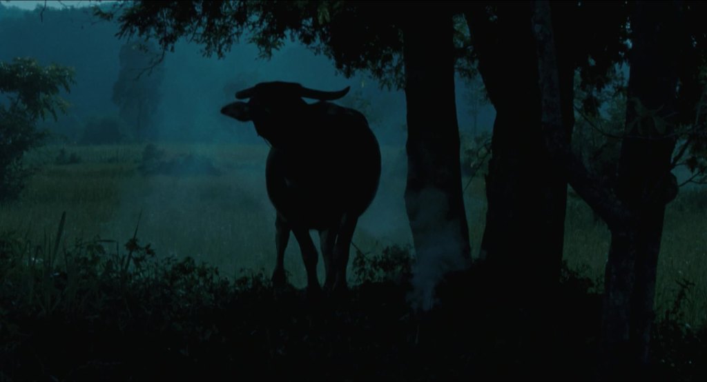 Uncle Boonmee Who Can Recall His Past&nbsp;Lives