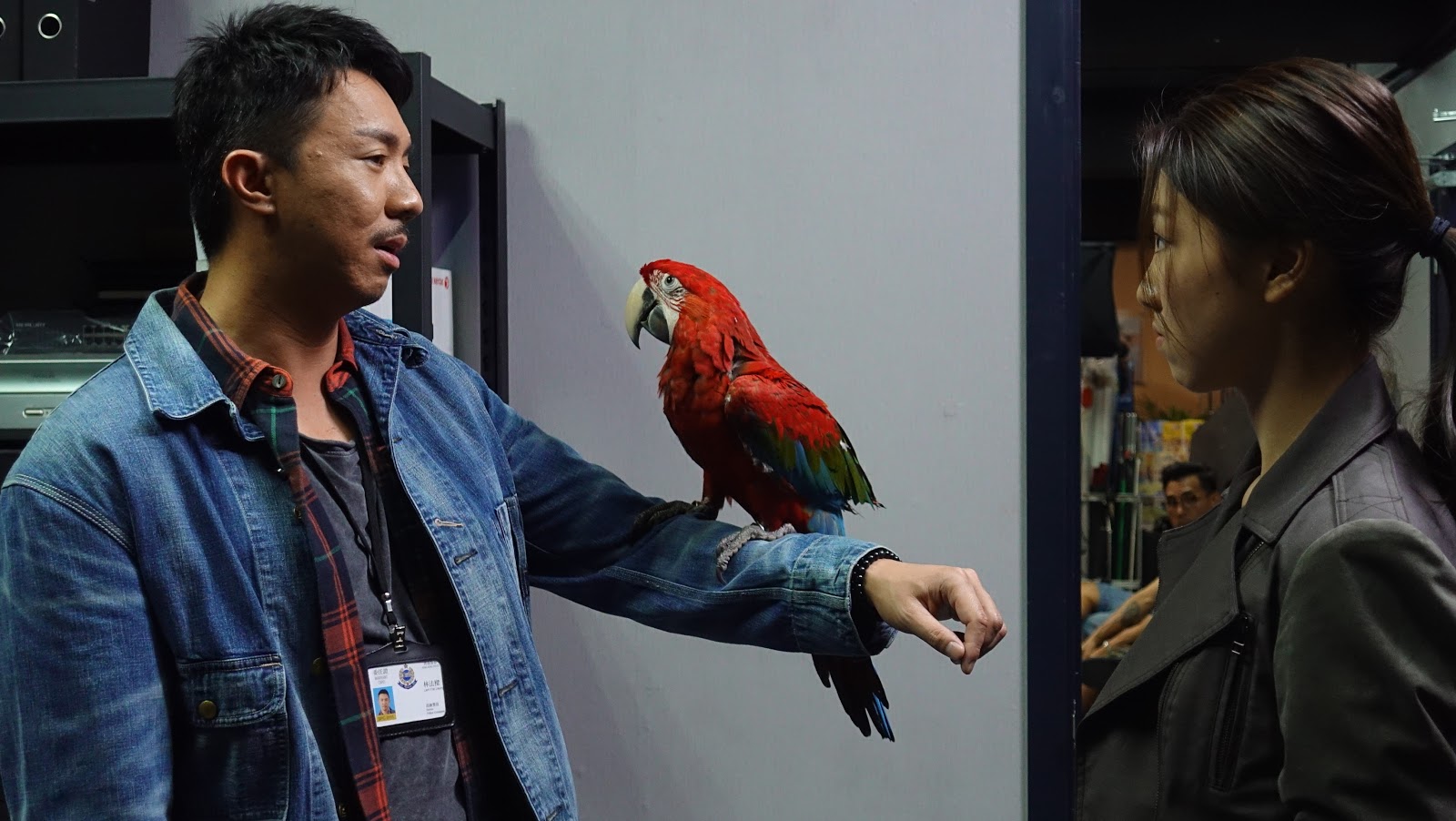 A Witness Out of the Blue