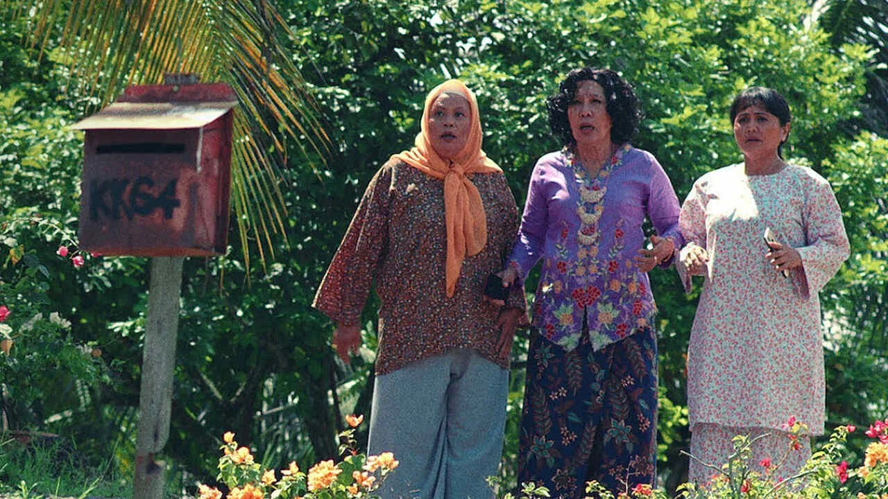 Three Widows Against the World